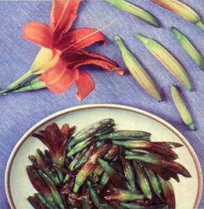 Spring Gardening Image